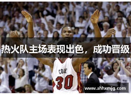 热火队主场表现出色，成功晋级
