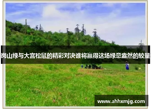 岗山绿与大宫松鼠的精彩对决谁将赢得这场绿意盎然的较量